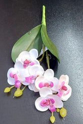 Mini Orhidee artificială albă cu detalii roz – 20cm, decorativă realistă